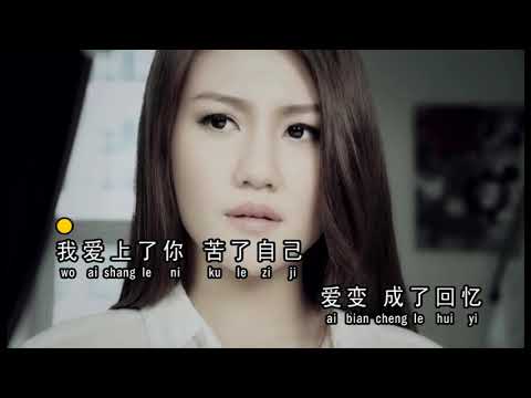 伤害了你不是我愿意 ~ 小豆MV