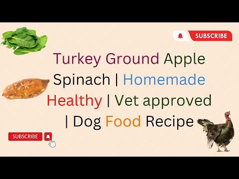 Turkey ground apple Spinach Homemade Healthy Vet approved Recipe DIY Dog Food blogsbyibrar