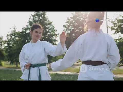 The Defensive Art; The True Purpose of Traditional Okinawan Karate - AI Interpretation