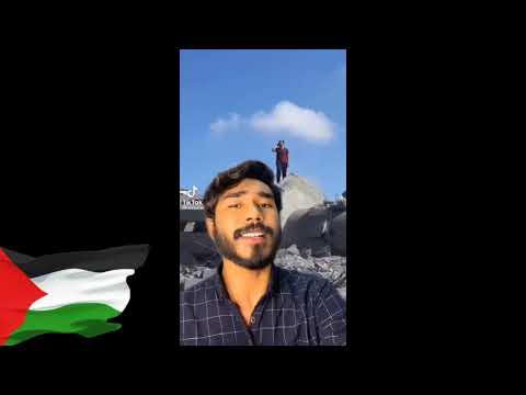 KUMPULAN VIDEO TIKTOK PALESTINA