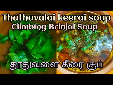 Thuthuvalai keerai soup for cold&cough/Climbing Brinjal soup/சளி,இருமலை குணப்படுத்தும் தூதுவளை சூப்