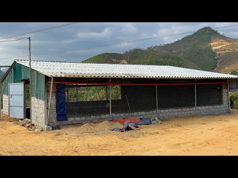 Behind the Scenes of Building a Chicken Coop in 14 Days: Effort and Results.