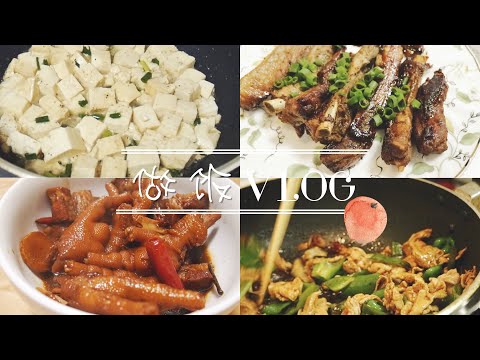 东京加班族的做饭vlog #1| 我天天晚饭吃什么| 卤味做法| 炖排骨菜谱| 东北面疙瘩汤| 中国胃双职工的中餐