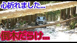 起点から倒木だらけでした...おにゅう峠【林道 小入谷線・滋賀県高島市朽木】