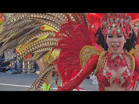 Asakusa Samba Carnival　2024  浅草サンバカーニバル