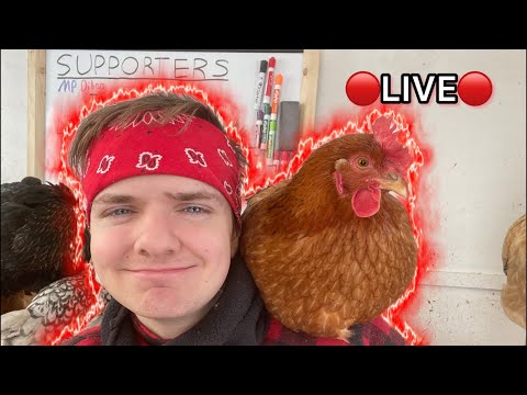 🔴🤠Joseph is live!🐔🔴