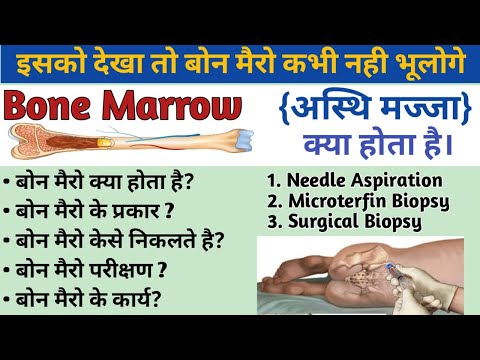 Bone Marrow || Bone Marrow Examination || Bone Marrow Transplantation || Bone Marrow Collection