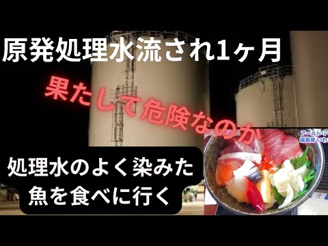 【いわき】原発の処理水が排出されて一か月経ったので、お魚を食べに行って来た