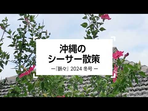 沖縄のシーサー散策 |『脈々』2024 冬号