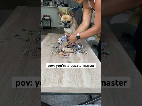 My dog was dumbfounded by my skills 😯