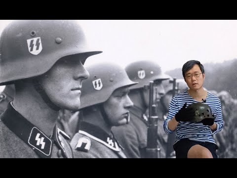 Waffen SS 武装党卫军战斗钢盔贴花类型分享