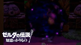 【ゼルダの伝説 知恵のかりもの】黒い塊を追いに森へ【ネタバレあり】