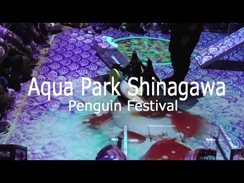 アクアパーク品川「宵のペンギンまつり」2019/ Aqua Park Shinagawa