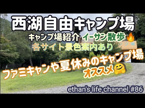 【キャンプ】西湖自由キャンプ場紹介🏕初心者さんファミキャンやグルキャンの場をお探しの方必見！涼しく快適！広々景色最高のキャンプ場各サイト景色案内あり🤗ethan's life channel♯86