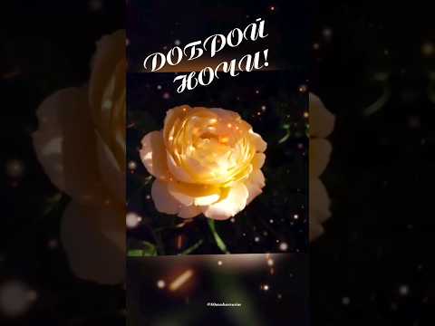 Доброй Ночи!#пожелание  #отдуши ❤️🌹