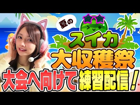 【スイカゲーム 生配信】大会に向けて練習していきます。【夏のスイカ大収穫祭】