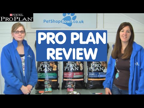 Review of Pro Plan Dog Food