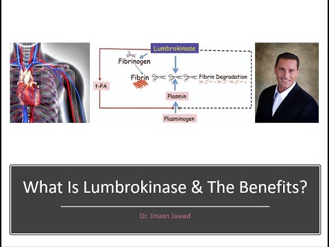 What Is Lumbrokinase and The Benefits?