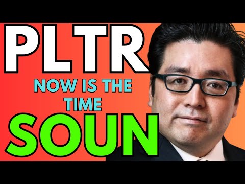 PLTR-DJT-SOUN STOCKS-[NEXT 2 WEEKS ARE GOING TO BE WILD