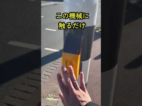 オランダの横断歩道の渡り方 #オランダ #海外移住 #shorts