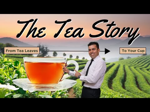 चाय, चाय, चाय!! Tea Good or Bad? Why do Ravinder Sain drinks Tea? Let's understand his secret!