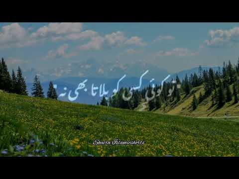 "Allah" Taala Ne Har Insaan Me Na 🥀 | Islamic WhatsApp Status |