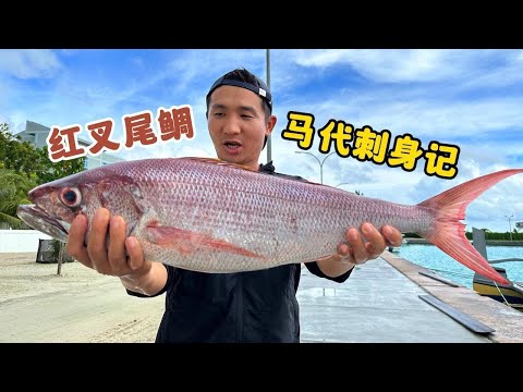 Spend 200 yuan on sea fishing, harvest thousands of fish worth, and make top sashimi