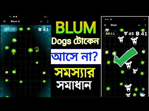 DOGS কিভাবে চালু করবেন? Blum DOGS Airdrop | Blum Airdrop Big Update