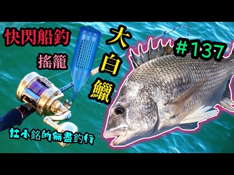 杜小銘的無盡釣行#137_#釣魚 #香港釣魚 #釣り #艇釣 #船釣 #雞魚 #白鱲 #誘餌籠 #搖籠 #五目釣り #伊佐木 #赤鱲 #真鯛  #鱲魚 #黃腳鱲  #外海 #黑沙 #細鱗 #快閃