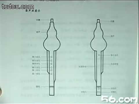 12 李春华 葫芦丝视频教学 第十二讲