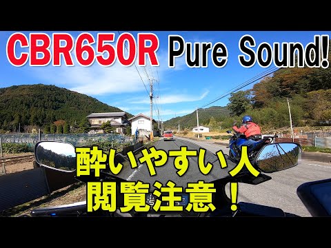 CBR650R ピュアサウンド！　GSX-S1000F？について行ってみました。