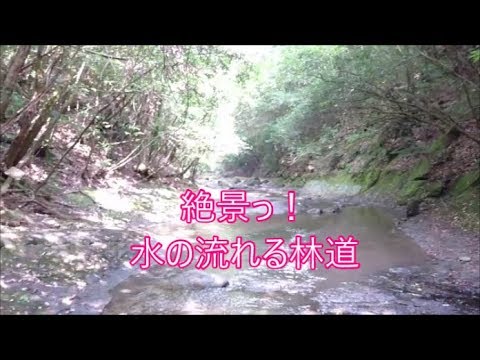 【ジムニー】絶景！水の流れる林道