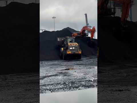 856 LIUGONG WHEEL LOADED #wheelloader #liugong #video #loading #loader #song #short #shorts #bs3