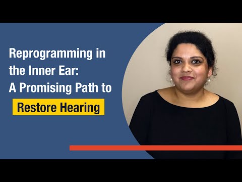 Amrita A. Iyer (Baylor): Reprogramming in the Inner Ear: A Promising Path to Restore Hearing