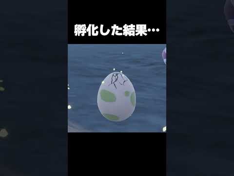 24時間孵化した結果が酷すぎた【ポケモンSV】