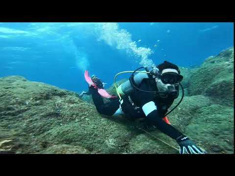 伊豆大島　山田インストラクターチーム