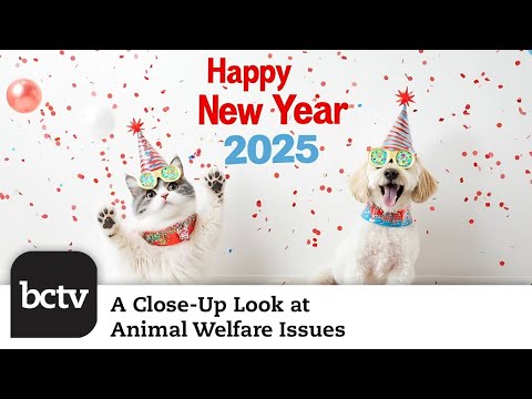 Holiday Season Special | A Close-Up Look at Animal Welfare Issues