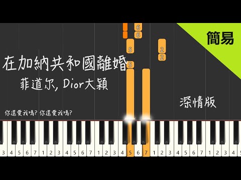 在加納共和國離婚 菲道尔/大颖 深情版 鋼琴教學  Piano Tutorial