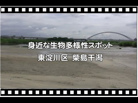 身近な生物多様性スポット（大阪市東淀川区　柴島干潟）