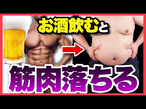 【筋分解】アルコールと筋肉の関係性を徹底解説