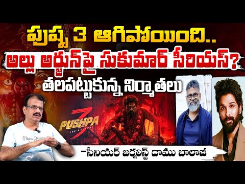 Serious Conflict Between Allu Arjun And Sukumar ? | Pushpa 3 Updates | Producer In Tension | Daamu