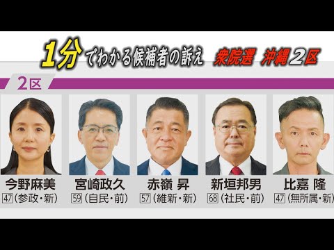 1分でわかる！候補者の訴え　沖縄2区　衆院選2024