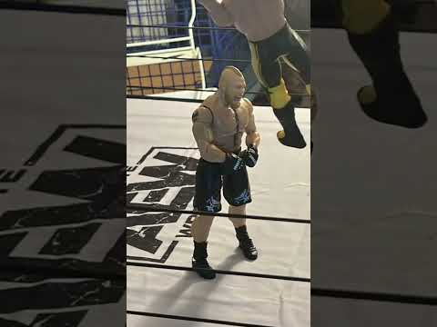 Random wrestling Stop Motion