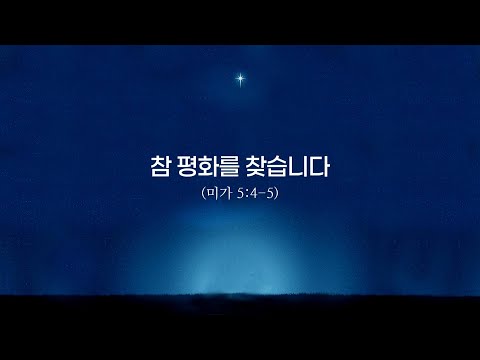 참 평화를 찾습니다