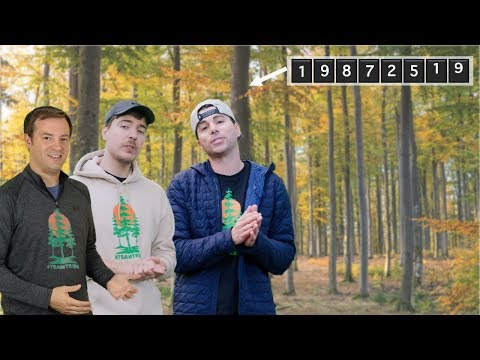 Planting $20 Million Trees with Mr Beast & Mark Rober! #TeamTrees