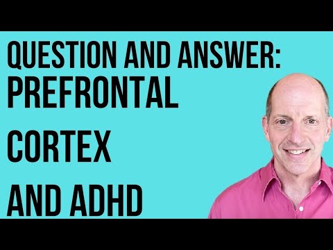 Q & A:  The Prefrontal Cortex and ADHD