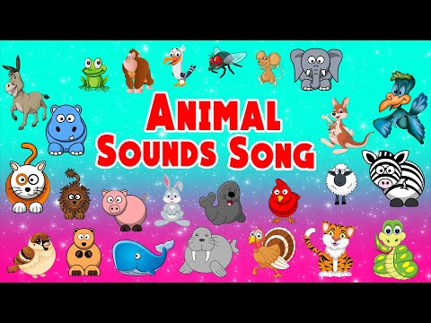 Animal Sounds Song | Nursery Rhymes for Kids | LittleKidsTV