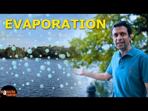 Evaporation of Water