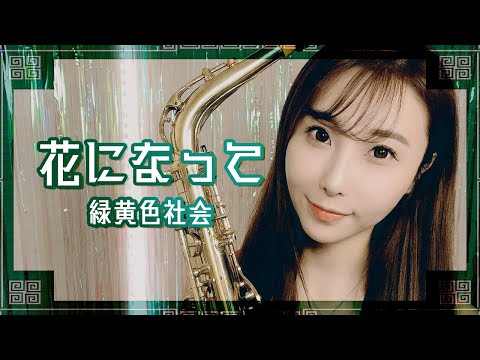 アルトサックスで【花になって/緑黄色社会】吹いてみた！