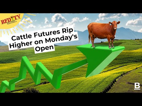 Cattle Futures Rip Higher on Monday's Open